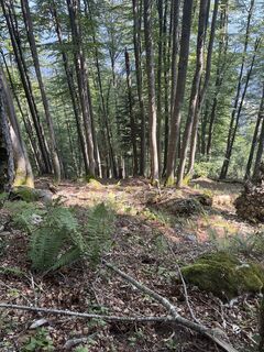 Foto von Andreas Hanzalek entlang der Tour