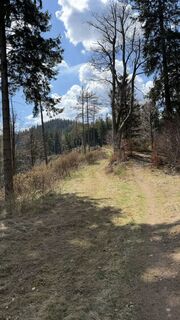 Photo de Zsolt Kozsla le long du parcours