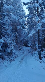 Fotografia z Attila Sümeghy na trase