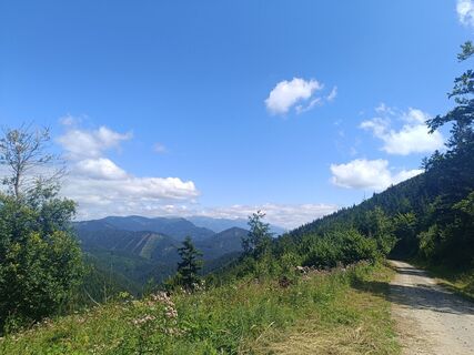 Fotografia z Žaneta Schelling na trase