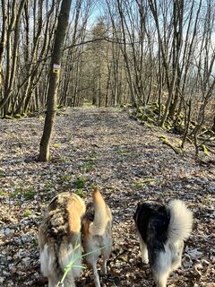 Foto von Mathias Junge 1 entlang der Tour