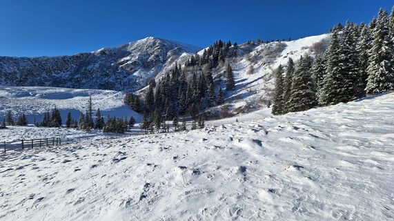 Fotografie z Karl Kriegseisen na trase
