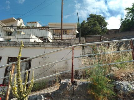 Photo de MopsBiene le long du parcours