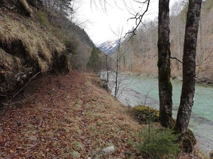 Entlang der Salza blick nach Norden