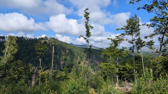 Foto von Chris gST entlang der Tour