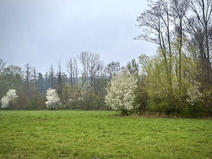 Foto de Ekhard Oberleitner a lo largo del recorrido