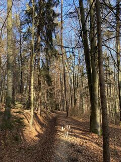 Foto från Kerstin Lang under resans gång