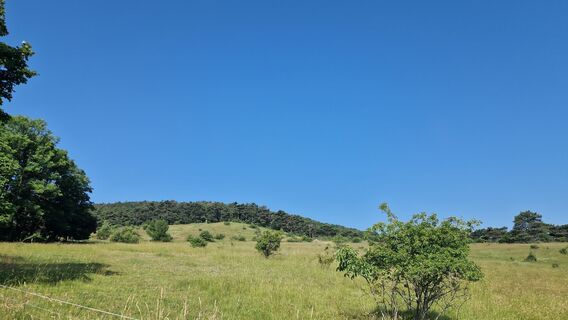 Фото с сайта EP87 во время экскурсии