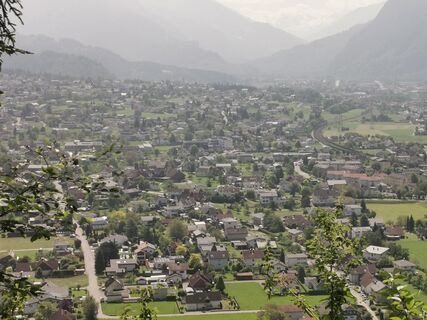 Foto von Waldläufer entlang der Tour