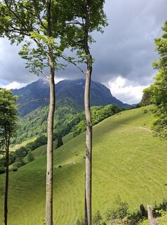 Photo de Maurer Silvia le long du parcours