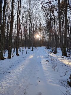 Photo de jasminfaber48 le long du parcours