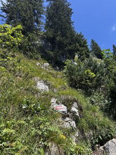 Foto de Johann Kusch a lo largo del recorrido