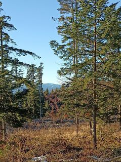 Photo de Bergpirat le long du parcours