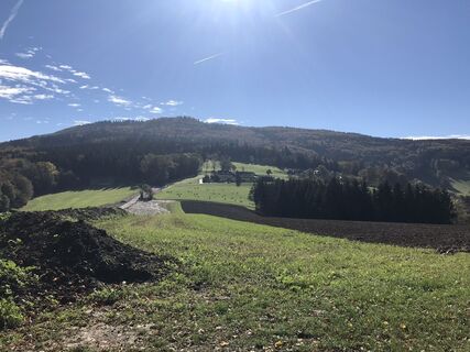 Foto da Christine Heigl lungo il tour