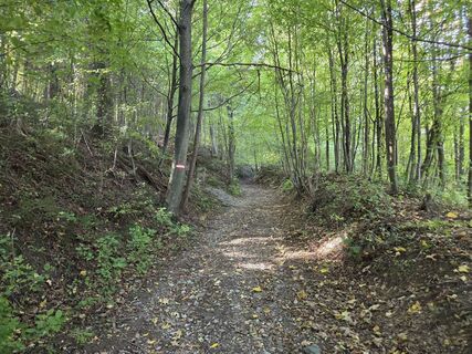 Fotografia z Timon Bertignoll na trase