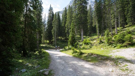 Biketour Gaistal-Seebensee