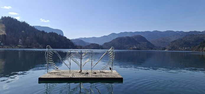 Foto von Mario Thomaschütz entlang der Tour
