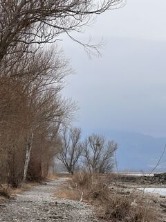 Fotografija s spletne strani Cyrill Bischof na poti