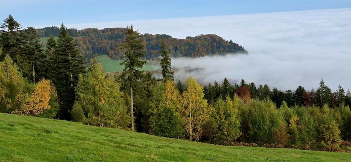 Fotografie de la Thomas Schekira de-a lungul turului