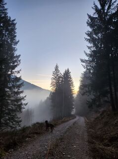 Fotografie z Nicki Lehner na trase