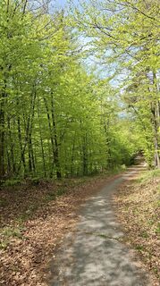 Foto de Mangolein a lo largo del recorrido