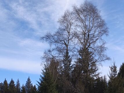 Fotografie z schumet na trase
