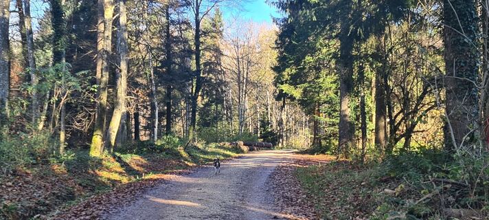 Foto von Bettina Brudermann entlang der Tour