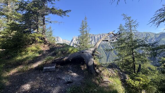Fotografija s spletne strani Fex na poti