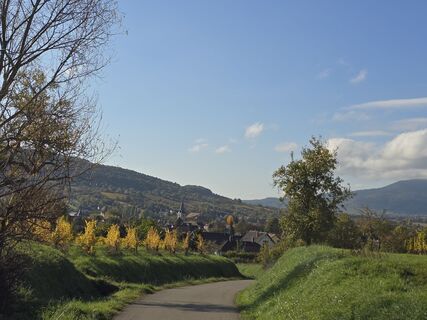 Foto von Michel Kennel entlang der Tour