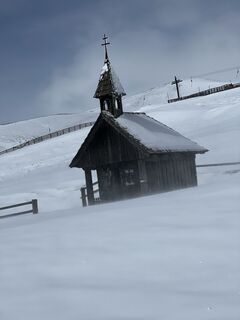 Foto från Schabsi under resans gång