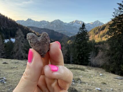 Foto von Natur_erleben_dg entlang der Tour