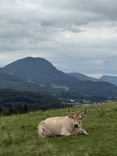 Foto de Barbara Schober a lo largo del recorrido