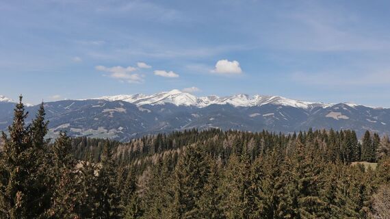 Wir genießen die Aussicht von den Türmen