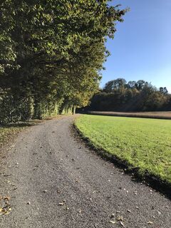Fotografija s spletne strani Eduard Hildenbrandt na poti