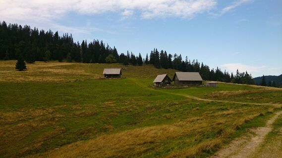 Auf der Sohlenalm