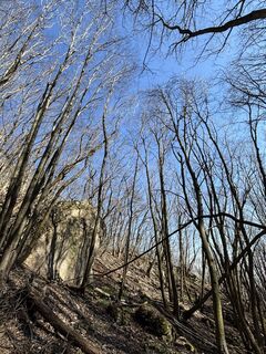 Foto de RS76 a lo largo del recorrido