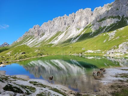 Fotografie z Gianni Varutti na trase