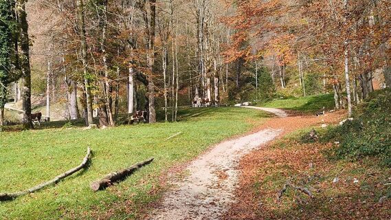 Photo de Johannes Zaunrith (Xinoi) le long du parcours