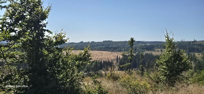 Fotografija s spletne strani Edit Szoboszlay na poti