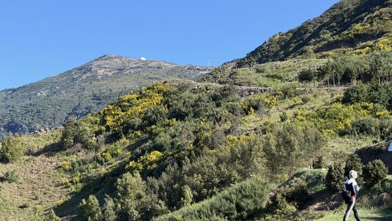 Fotografia z Marki1966 na trase