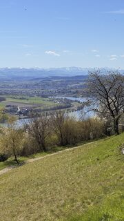 Zdjęcie z Sebastian Hütter wzdłuż trasy