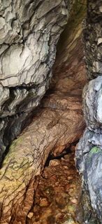 Zdjęcie z Johann Schallinger wzdłuż trasy