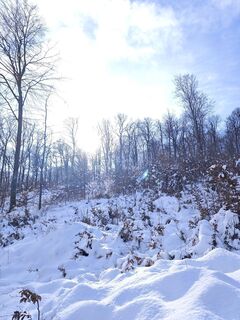 Foto de Katona Ferk Mariann a lo largo del recorrido