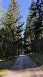 Foto de Torsten Scholz a lo largo del recorrido