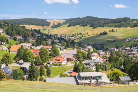 Zemljevid
