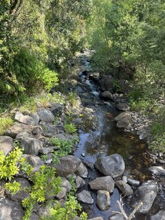 Fotografia z Andreas Seyerlehner na trase