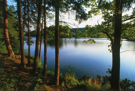 Herrensee - Blick auf Sandgrube