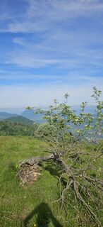 Photo de PAOLO85LAINO le long du parcours