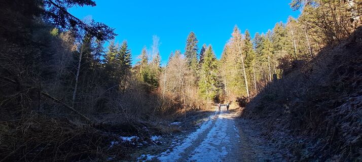 Fotografija s spletne strani Johann Speik na poti