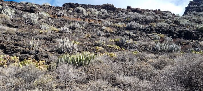 Fotografia z Mario Libardi na trase